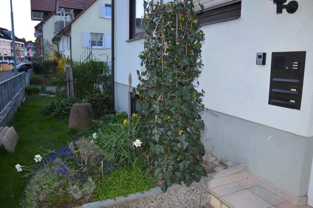 Ferienwohnung Diana Rust Exterior photo